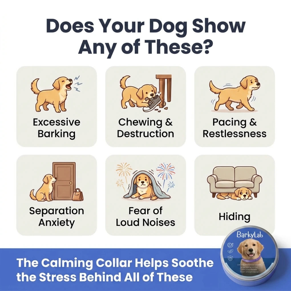 BarkyLab Calming Collar